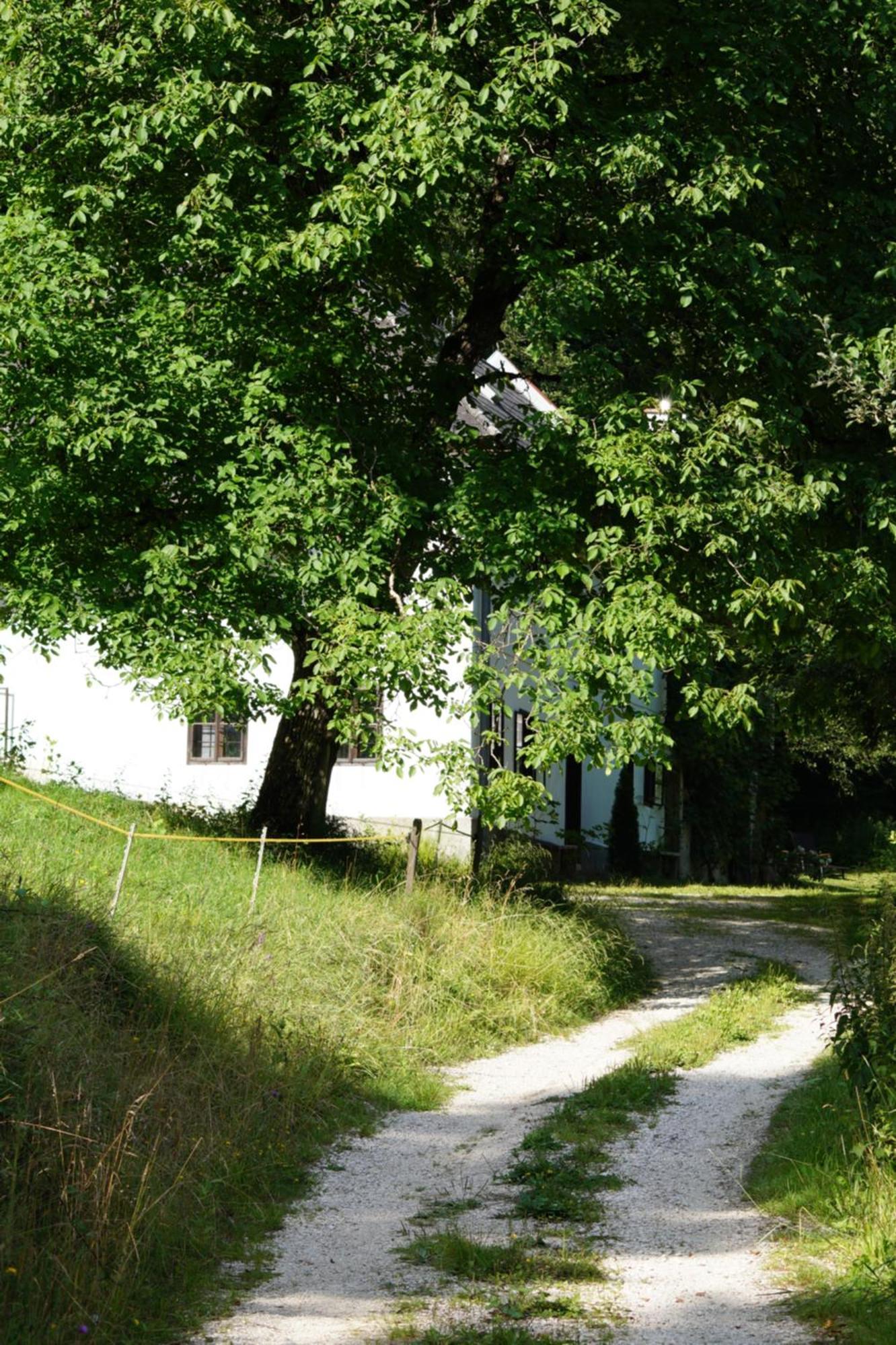 Forsthaus Gut Traunfried Villa Ramsau am Dachstein Eksteriør billede