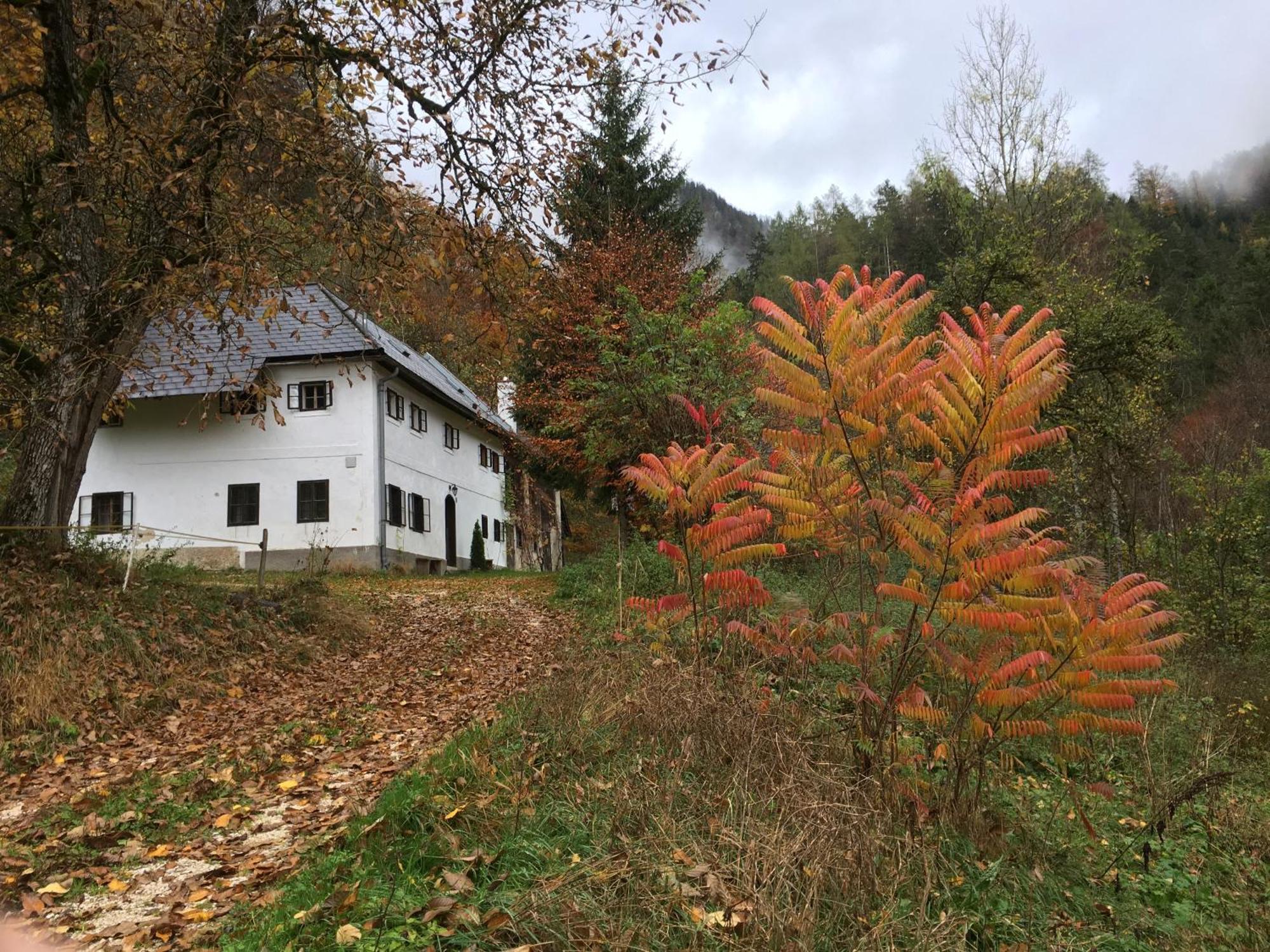 Forsthaus Gut Traunfried Villa Ramsau am Dachstein Eksteriør billede